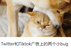 Twitter和Tiktok广告上的两个小bug